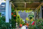 clapboard house with vines growing over backyard pergola